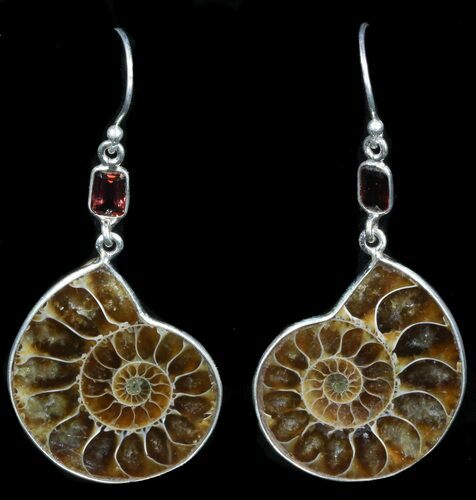 Fossil Ammonite Earrings - Sterling Silver #38136